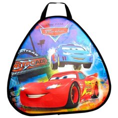 Ледянка 1 TOY Тачки Т59158