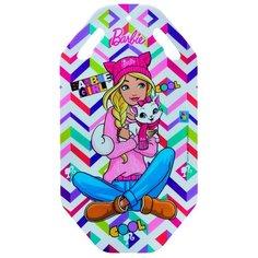 Ледянка 1 TOY Barbie Т10615