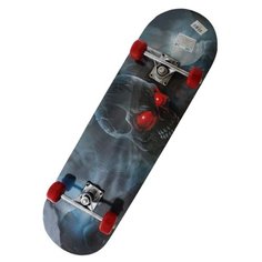 Скейтборд Shantou Gepai Darkness
