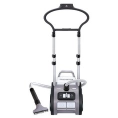 Отпариватель Rowenta IS 9100