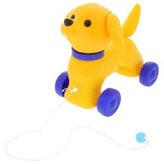 Каталка-игрушка Сима-ленд Шарик