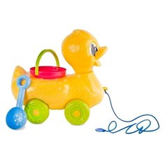 Каталка-игрушка Росигрушка