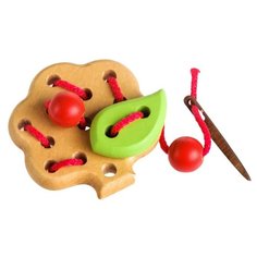 Шнуровка Томик Яблоня 612-1