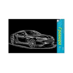 Гравюра Рыжий кот Авто в пакете