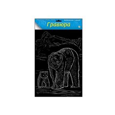 Гравюра Рыжий кот Медвежонок с