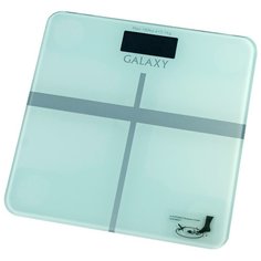 Весы Galaxy GL 4808