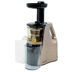 Соковыжималка Galaxy GL0802 2018