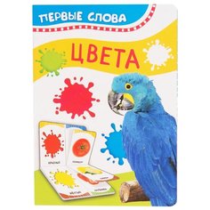 Первые слова. Цвета РОСМЭН