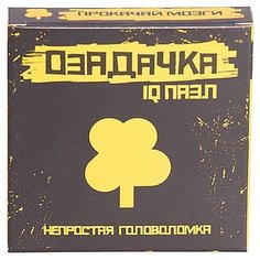 Головоломка Озадачка IQ ПАЗЛ