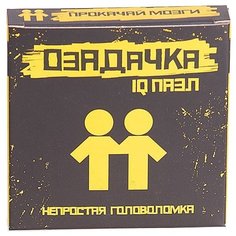 Головоломка Озадачка IQ ПАЗЛ