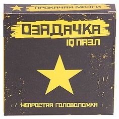 Головоломка Озадачка IQ ПАЗЛ