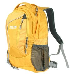 Рюкзак Polar П1521 23