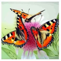 Color Kit Картина по номерам