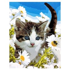 Paintboy Картина по номерам