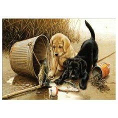 Paintboy Картина по номерам