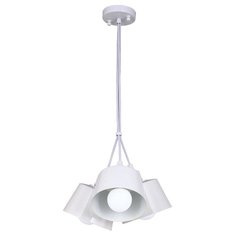 Favourite North Tulip 1681-3P