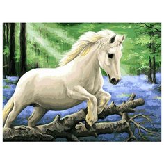 Белоснежка Картина по номерам В