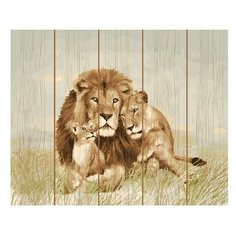 Molly Картина по номерам