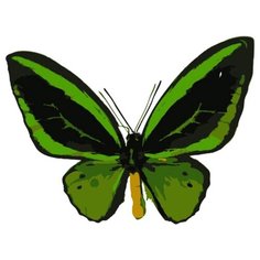 Цветной Картина по номерам