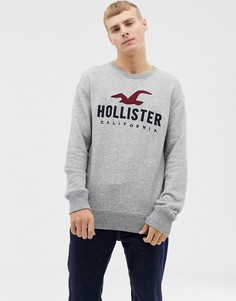 Серый меланжевый свитшот с вышитым логотипом на груди Hollister - Серый