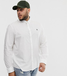 Белая эластичная рубашка из поплина на пуговицах с логотипом Original Penguin big & tall - Белый
