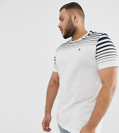 Белая футболка с полосками и логотипом Original Penguin big & tall - Белый