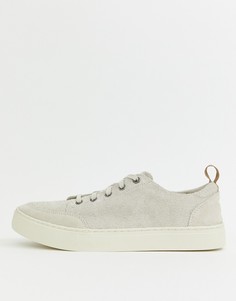 Бежевые замшевые кроссовки Toms landen - Бежевый