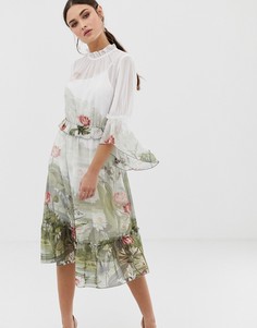 Платье миди с принтом и оборками Ted Baker Brooki wonderland - Мульти