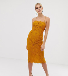 Кружевное платье-футляр миди с квадратным вырезом ASOS DESIGN Tall - Мульти