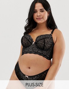 Черный удлиненный бюстгальтер со звериным узором New Look Curve - Черный