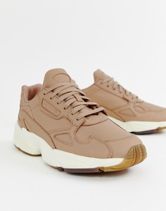 Бежевые кожаные кроссовки adidas Orignals Premium Falcon - Бежевый