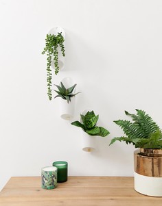 Набор из 3 настенных горшков для растений Umbra - Мульти