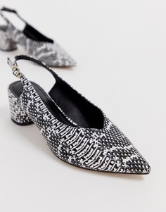 Остроносые туфли на блочном каблуке со змеиным принтом и ремешком через пятку Miss Selfridge - Черный