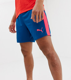 Шорты Puma Performance - Синий