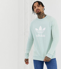 Свитшот с трилистником adidas Originals - Зеленый