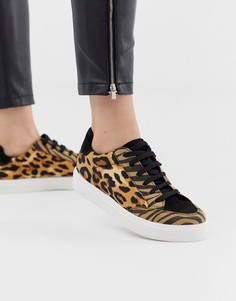 Кроссовки на шнуровке со смешанным леопардовым принтом ASOS DESIGN Dove - Мульти