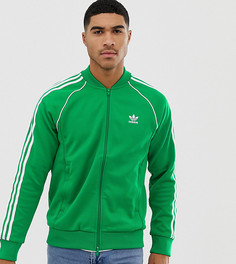 Спортивная куртка adidas Originals adicolor - Зеленый