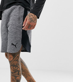 Шорты Puma Evostripe - Серый