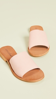 Cocobelle Bhea Slides