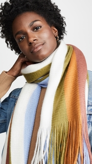 Madewell Vertical Stripe Scarf