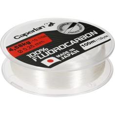 Леска Для Рыбной Ловли Fluorocarbon 100% 100 М Caperlan