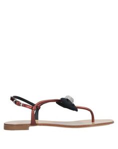 Вьетнамки Giuseppe Zanotti