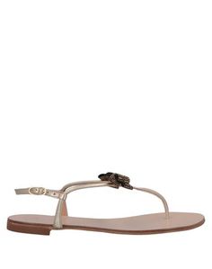 Вьетнамки Giuseppe Zanotti