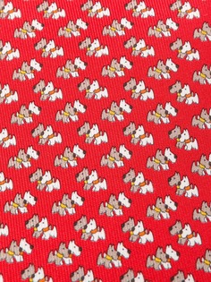 Аксессуары Salvatore Ferragamo