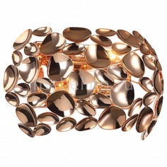 Накладной светильник Gittus 2013-2W Favourite