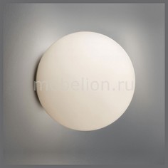 Накладной светильник Dioscuri 0112010A Artemide