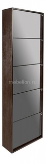 Шкаф для обуви Шарлотта-К5 Maestro