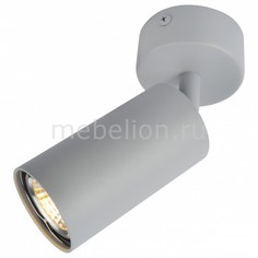 Спот 3216 A3216PL-1GY Arte Lamp