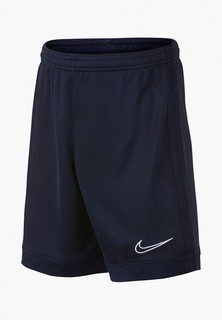 Шорты спортивные Nike