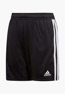 Шорты спортивные adidas